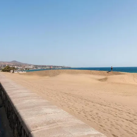Lion - * Playa del Inglés